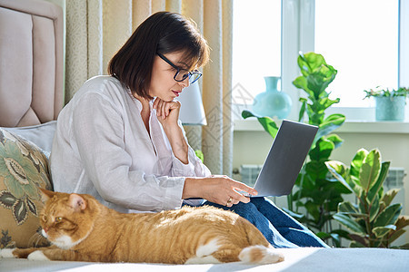 妇女与猫一起坐在家中的床上 女性使用笔记本电脑动物房间成人公寓小猫工作互联网中年快乐女士图片