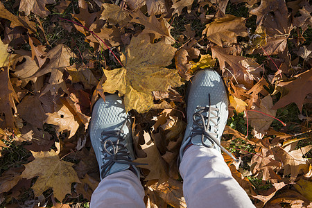 蓝色运动鞋 在秋天的一堆秋天 落下黄色的山坡叶高清图片