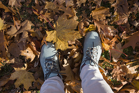 蓝色运动鞋 在秋天的一堆秋天 落下黄色的山坡叶图片