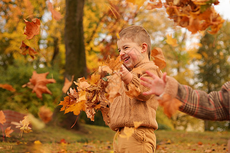 秋天的户外乐趣 儿童玩秋天落叶在公园里 快乐的小男孩季节树叶叶子孩子幸福黄色橙子微笑跳跃童年图片