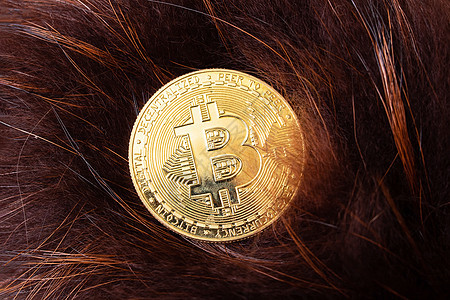 Bitcoin硬币在棕色堆积背景上图片
