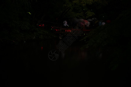 鹤冈哈希曼古神社清水池塘森林黑暗神社建筑木头植物寺庙蝴蝶图片