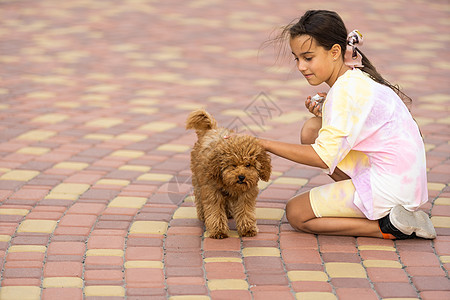带麦芽小狗的小女孩 在户外暑假朋友微笑幸福孩子女孩宠物婴儿血统动物童年图片