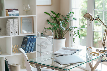 舒适的工作场所 在办公室和家里都有一台笔记本电脑 明亮的房间有大窗户 书柜和绿色植物 远程工作 自由职业者风格杯子桌子监视器桌面图片
