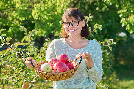 在露天花园的篮子中 用成熟的红苹果收成微笑的女人水果甜点晴天收获食物花园农业果园女性园艺图片