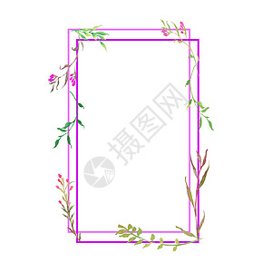 紫色花朵和绿色叶子 白色背景上隔开的方形水彩 以白边框隔开图片
