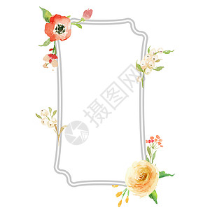 水彩花框 白色显示天然花朵 夏季花花贺卡 以水彩色风格制作图片