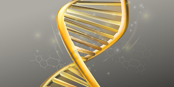 DNA金双螺旋结构的缝合测试基因组染色体基因插图药品科学化学品卫生遗传图片