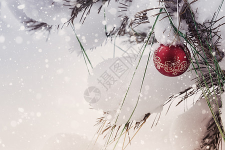 圣诞卡 上面有圣诞树的相片雪人季节雪花礼物惊喜钟声插图问候语邀请函丝带图片