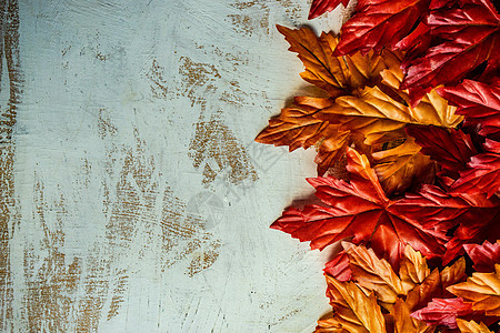秋天平地节日南瓜时间感恩卡片框架收成树叶气氛洋葱背景图片
