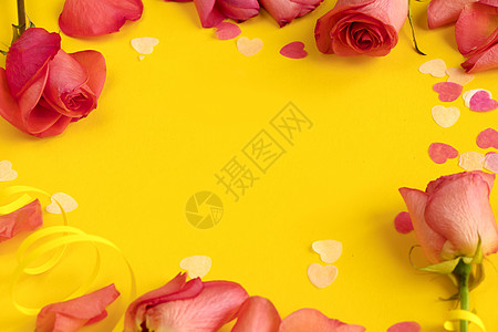 黄色背景的红玫瑰花 复制空间 Banner 春季概念横幅桌子女人植物问候语笔记边界木板平铺小样图片