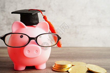 猪头银行戴眼镜 装有硬币和计算器 保存银行教育概念学生文凭笔记本童年知识金融解决方案订金黑发大学图片