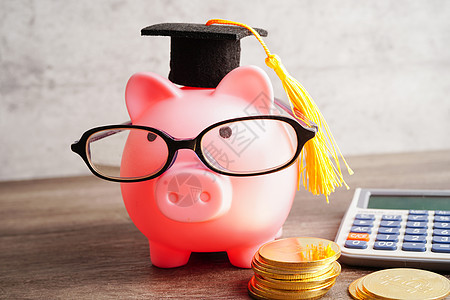 猪头银行戴眼镜 装有硬币和计算器 保存银行教育概念储蓄童年学生利润工作商业大学解决方案帐户预算图片