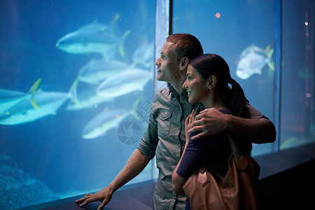 在水族馆里看鱼的一对年轻夫妇 看着鱼图片