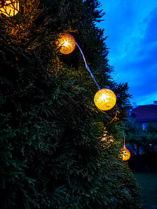 圣诞动图挂在树上的小亮光球礼物灯泡蓝天绿色假期天空辉光庆典树木季节背景