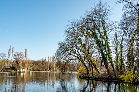 慕尼黑英国花园全景树木旅游娱乐公园英语旅行地标跑步闲暇风景图片