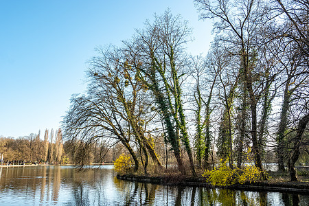 慕尼黑英国花园全景城市旅行森林风景闲暇树木地标英语公园跑步图片