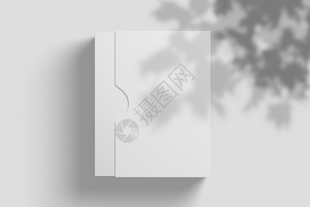 带滑套的软件盒白色空白 3D 渲染模型案件纸板品牌销售塑料标签产品展示插图盒盖图片