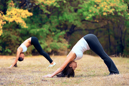 一起寻找他们的中心 两个女人在公园里一起做瑜伽图片