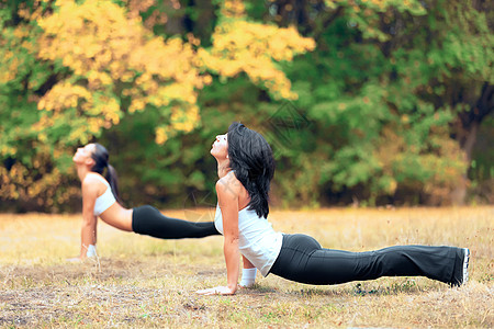 和朋友一起健身 两个女人在公园里一起做瑜伽的图片