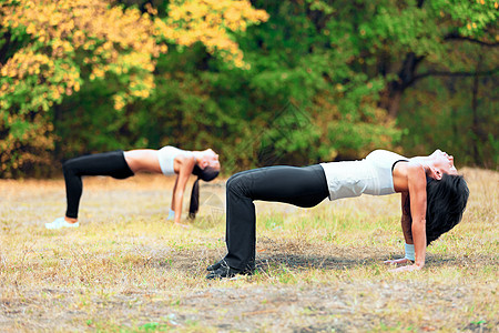 两个年轻女子在公园里一起做瑜伽 感觉自己被烧伤了图片