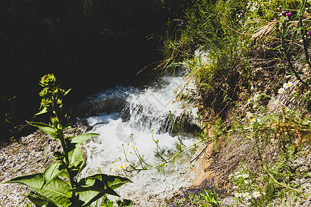 河流瀑布 水流 青厚的山溪流图片