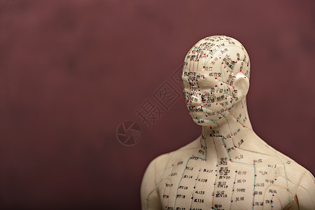 配有针刺点和中环的曼奈昆人女士医疗治疗针灸师皮肤身体诊所神经病人温泉图片