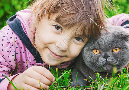 孩子和猫 有选择的焦点家庭宠物幸福情绪拥抱太阳皮带喜悦动物场地图片