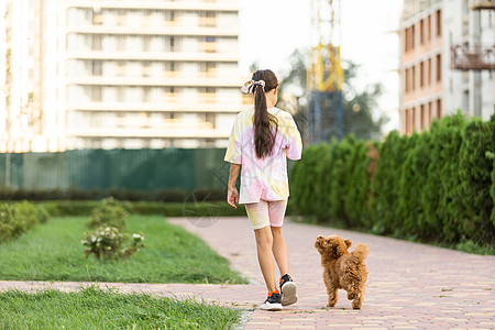 宝宝和狗带麦芽小狗的小女孩 在户外暑假孩子公园微笑快乐幸福血统婴儿朋友娱乐友谊背景