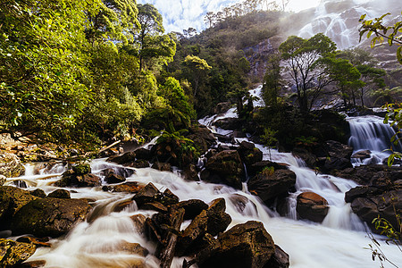 澳大利亚塔斯马尼亚州圣科隆巴瀑布旅游荒野蕨类环境森林下降叶子岩石旅行瀑布图片