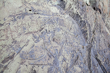 在西伯利亚的岩石上雕刻一个古老人类的石雕男人岩画部落石头古董艺术目的地人类学绘画壁画图片