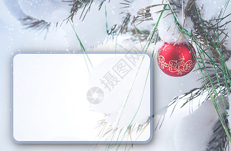 圣诞卡 上面有圣诞树的照片分支机构邀请函日历雪花打印插图假期礼物问候语框架图片