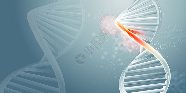 DNA双螺旋线和科学数据信息图生物卫生化学品工程遗传图表技术化学测试基因组图片