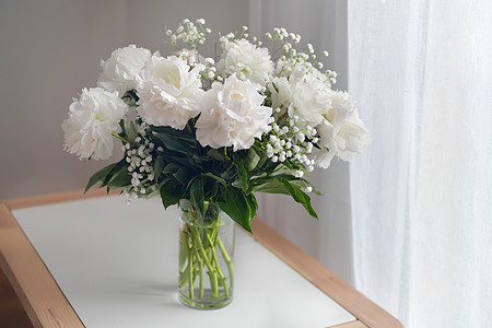 白色花朵与Gypsophila在白底花瓶中植物礼物花瓣念日桌子风格窗户温泉墙纸生日图片