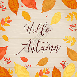你好 秋天 秋天的模版 在叶子和浆果框里 还有浅木质背景上的刻字卡片标签季节边界插图横幅假期艺术框架派对图片