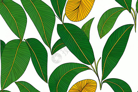白色背景的金色和绿色热带叶背景图片