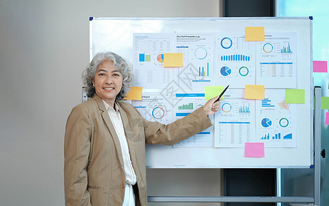 女性上司使用翻版图提交公司经济图表增长报告 有多种不同图片