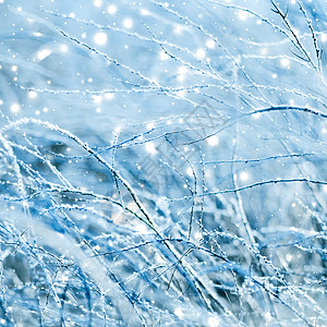 冬季假日背景 大自然风景 圣诞时雪雪和寒冷天气明亮新年季节时间降雪闪光冰镇雪花场景下雪森林图片