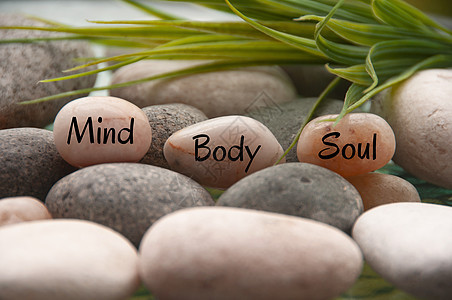 带字词的 Zen 石头 有思想 身体 灵魂以及岩石和植物背景 自定义文本或想法的空间图片