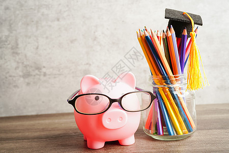 猪头银行戴眼镜 装有硬币和计算器 保存银行教育概念学校黑发文凭金融学生商业解决方案学习工作笔记本图片