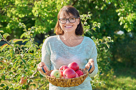 在露天花园的篮子中 用成熟的红苹果收成微笑的女人果园季节中年甜点水果生态女性农村花园晴天图片
