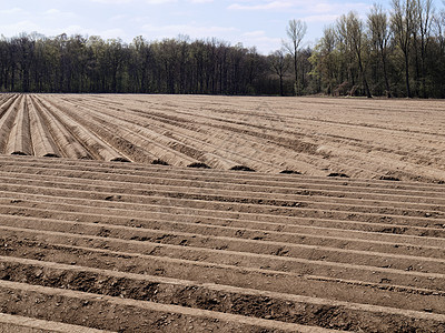 德国的农业用地 准备用于耕种树类草原农场地面土地收成蔬菜生长农田太阳土壤食物图片
