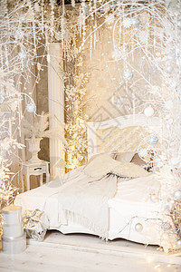 房子的内部装饰着一棵圣诞树 以迎接节日的到来 宽敞明亮的房间装饰有装饰品 新年 圣诞节装饰家具酒店蜡烛沙发季节礼物假期窗户卡片壁图片
