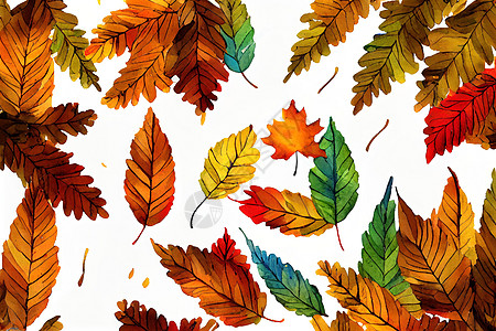 秋叶和树枝的水彩横幅 隔绝在森林季节假期艺术问候花园树叶海报框架橡子图片