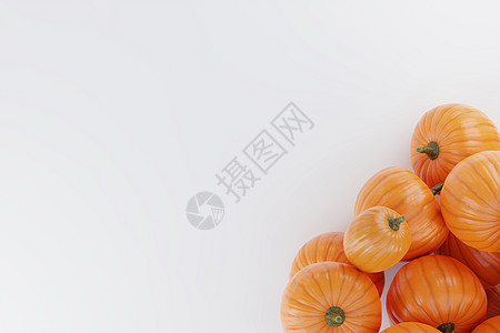 白色背景的3D 种子模版生产壁球蔬菜假期橙子植物南瓜季节收成感恩图片