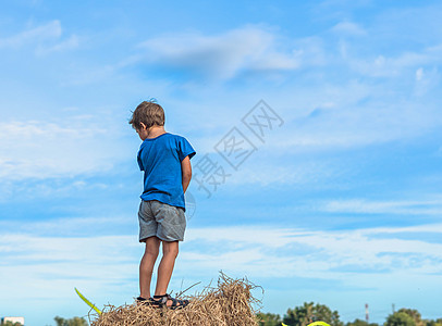 背影男孩站在干草堆上 抛弃了悲伤的孤独感 晴朗的蓝天日 外门孩子暑假休闲活动 儿童保育概念在农村空气自然中是幼稚的图片