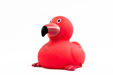 粉红火烈鸟 带黑色螺旋刺的鸭子漂浮玩具图片