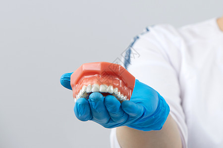 显示人工下巴与人造下巴接轨器系统的整形医生示范保健牙齿支撑塑料口服工具陶瓷金属办公室图片