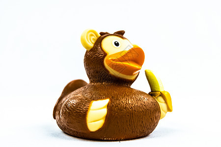可笑的猴子鸭花鸭 用香蕉漂浮玩具图片