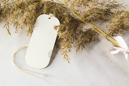 白色标签 用丝带和干燥植物在白色背景上模拟图片